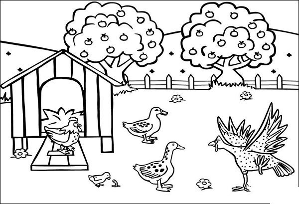 Simple drawing of poultry backyard