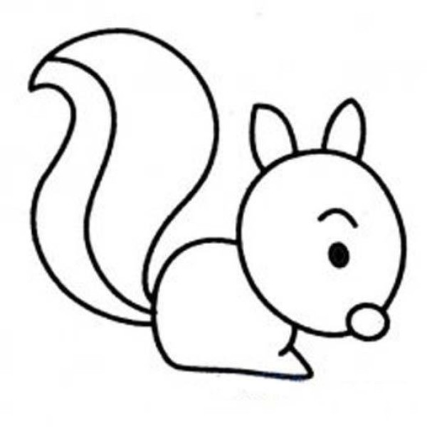 Simple drawing of squirrel in kindergarten