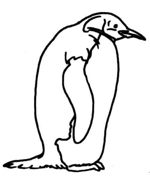 Penguin side simple drawing picture