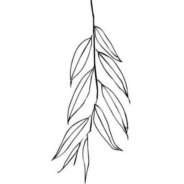 A complete collection of simple strokes of willow leaves