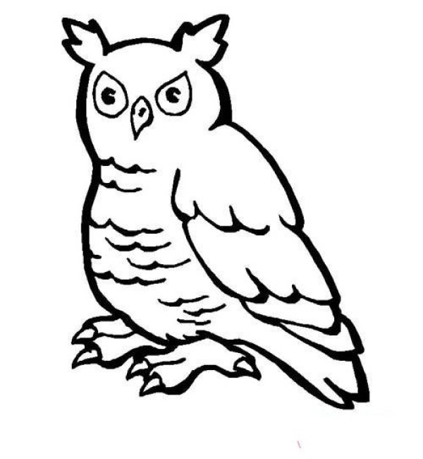 Owl simple drawing picture for primary school students