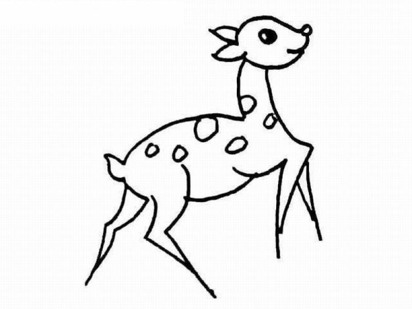 Simple strokes of deer pictures_Sika deer simple strokes