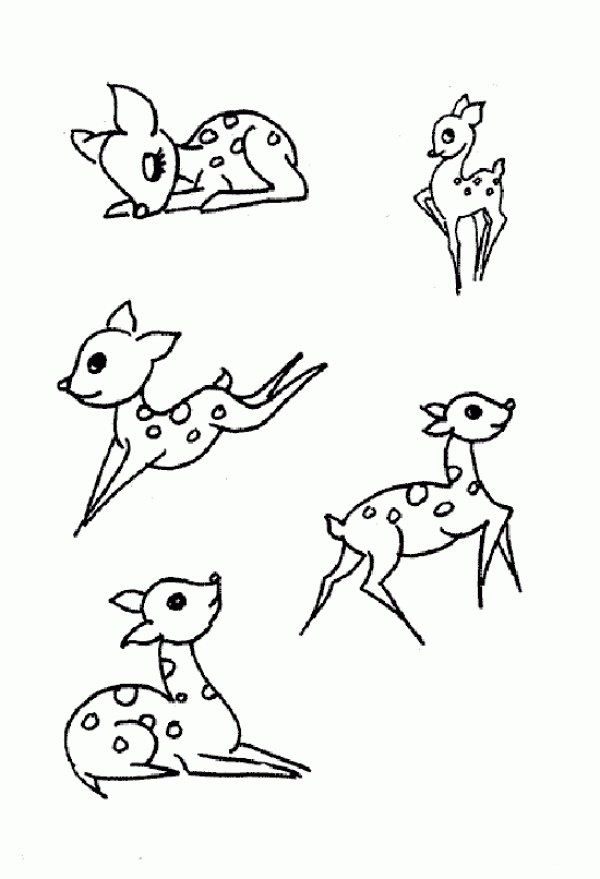 A collection of simple drawing pictures of various sika deers