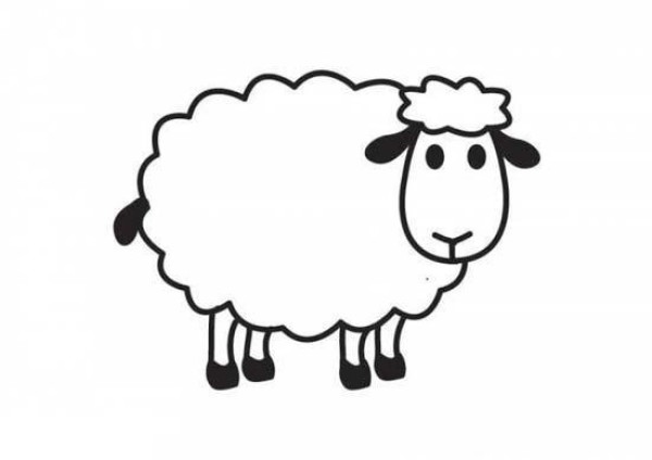 Cartoon sheep simple drawing pictures