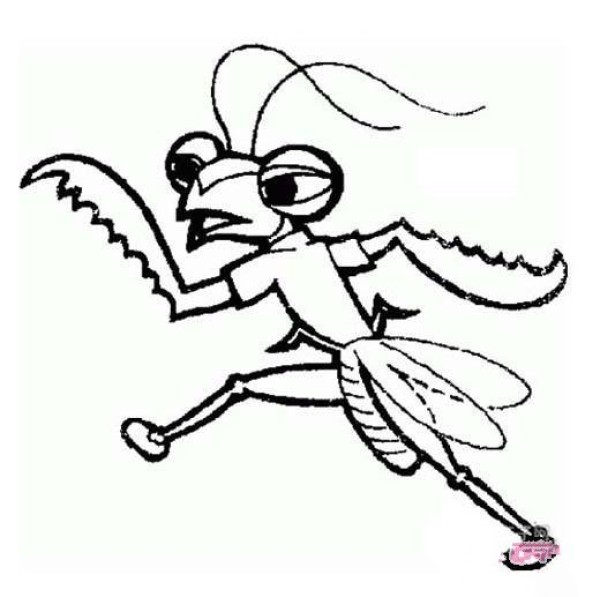 Childrens cartoon mantis simple drawing picture: running mantis