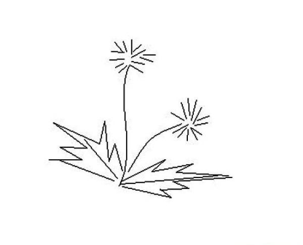 A complete collection of childrens hand-drawn dandelion simple strokes pictures