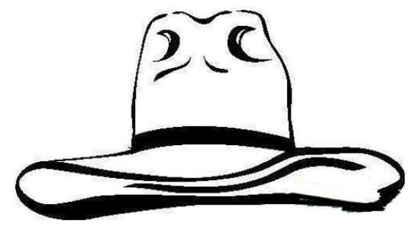 American Cowboy Hat Simple Drawing Picture