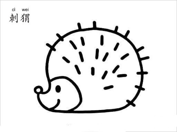 Hedgehog simple drawing picture