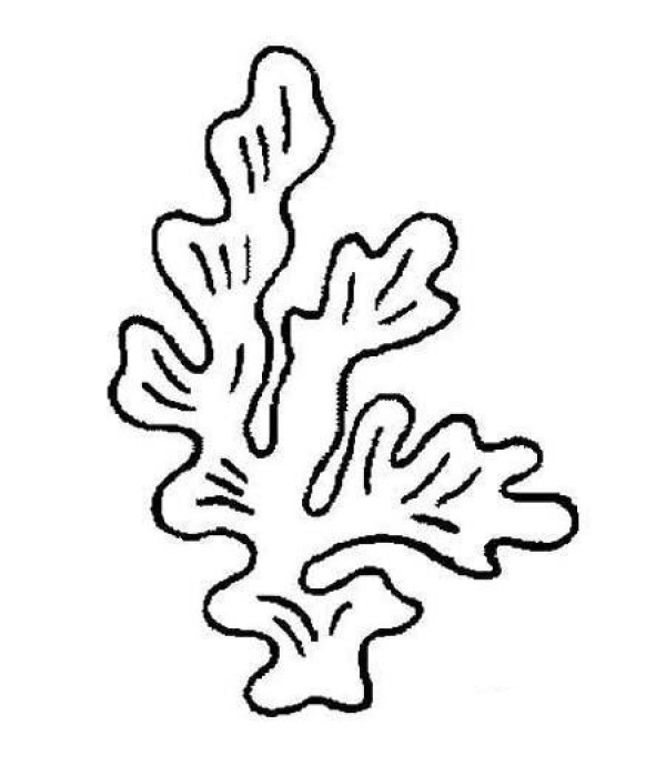 Childrens simple drawing pictures of coral