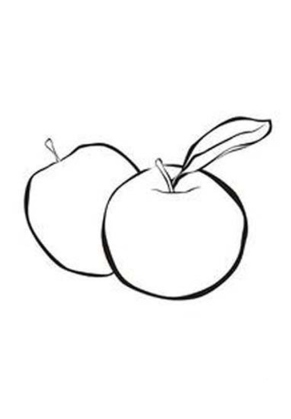 Complete collection of apple simple strokes: two apples