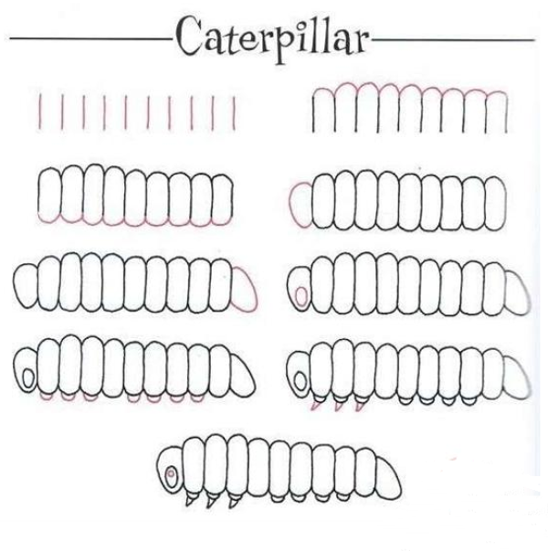 Teach you how to draw a caterpillar in simple strokes