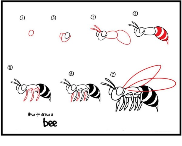 How to Draw a Bee Simple Drawing