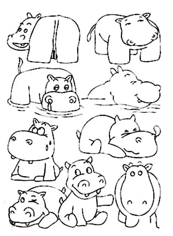 A complete collection of simple drawing pictures of various hippopotamuses