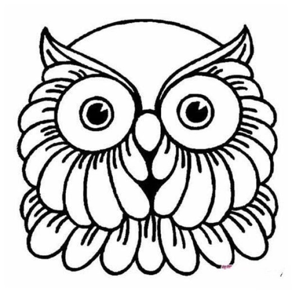 Owl head simple drawing picture