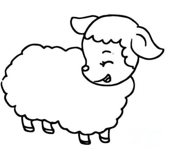 Cute cartoon little sheep simple drawing