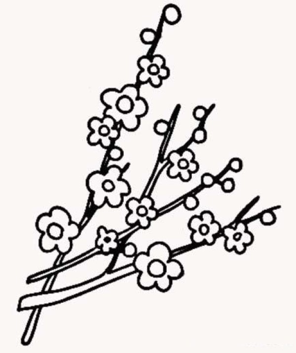 Childrens simple drawing: Plum tree