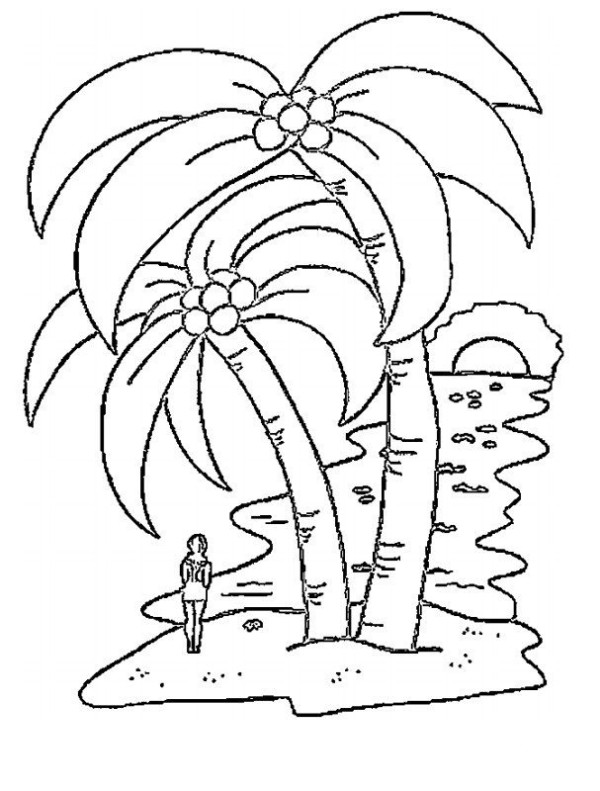 Coconut tree simple strokes