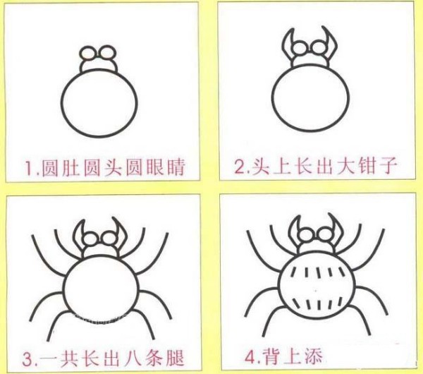 Steps to draw a spider in simple strokes: How to draw a spider