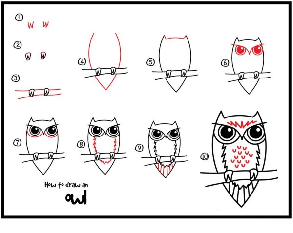 How to draw an owl in simple strokes