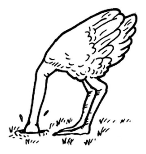 A simple picture of an ostrich with its head buried in the soil