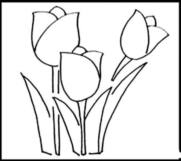 Complete picture of simple strokes of Dutch tulips