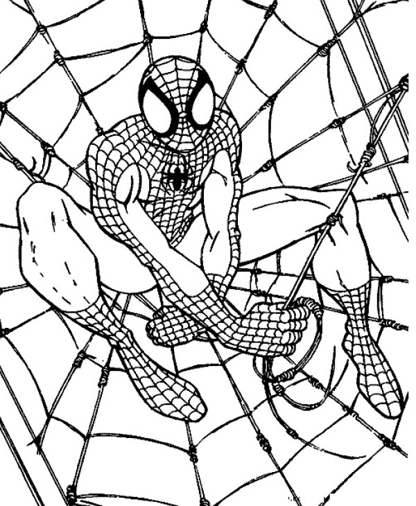 spiderman simple drawing