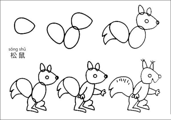 How to draw a squirrel