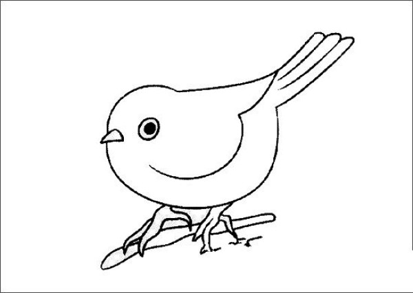 Simple drawing of bird