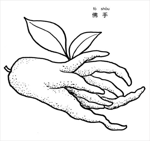 Simple strokes of Buddhas hand