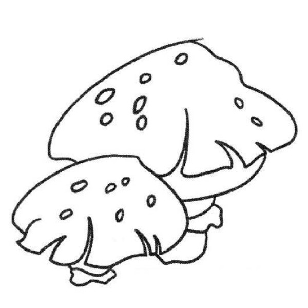 Childrens simple drawing of mushrooms: two mushrooms