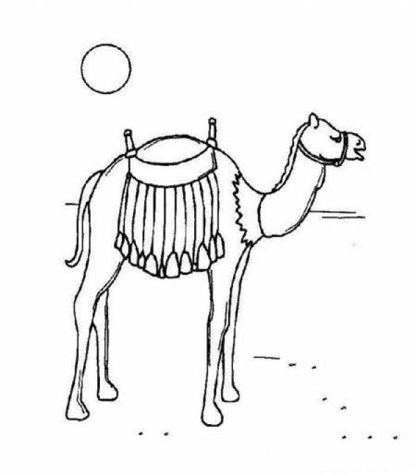 Simple drawing picture of camel in desert