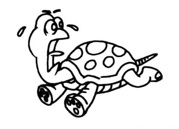 Simple drawing of turtle in anime: Turtle running away in fear