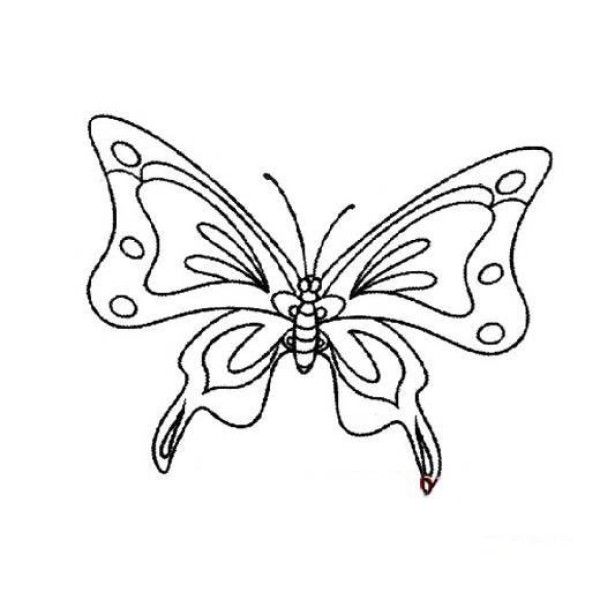 Simple drawing of butterfly with beautiful pattern