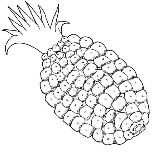 Pineapple