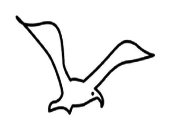 Kindergarten simple seagull drawing picture