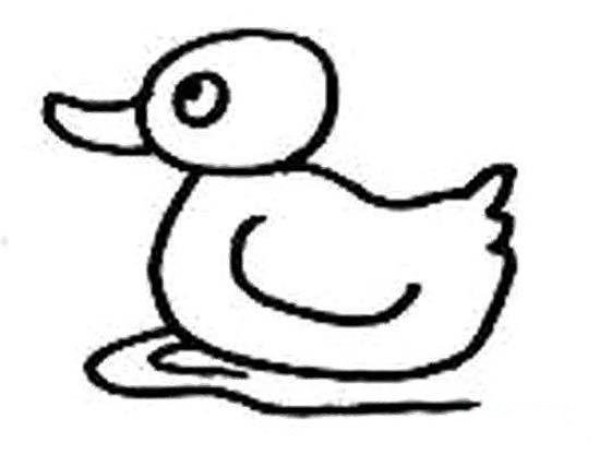 Simple drawing picture of little duck swimming in water