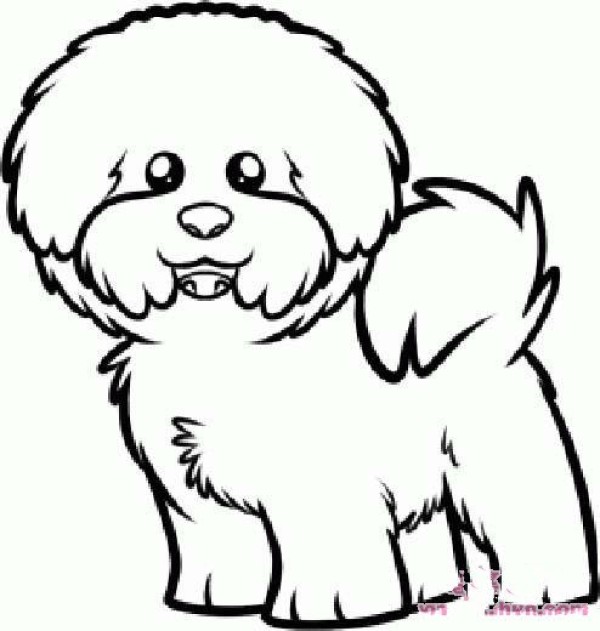 Simple drawing of beautiful pet dog