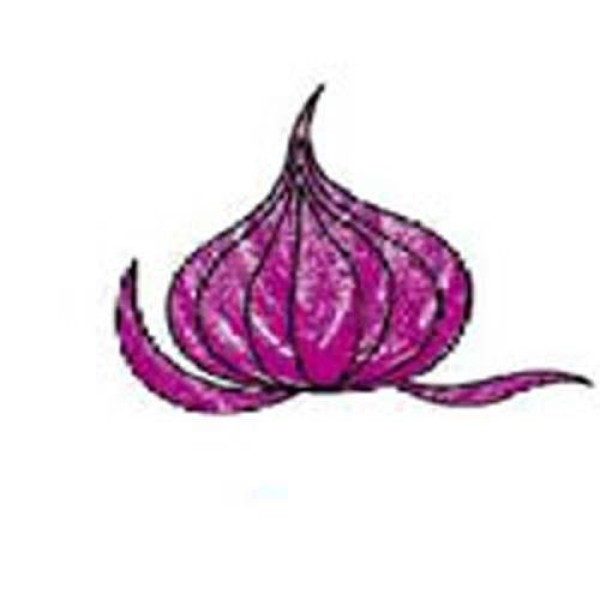 Complete collection of simple strokes of colorful onions