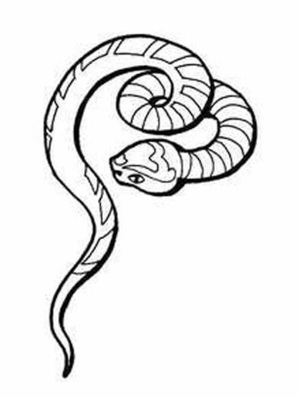 Childrens simple drawing: snake