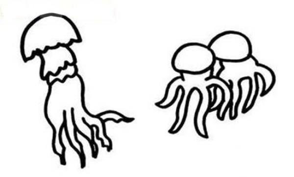 A group of jellyfish simple drawing pictures