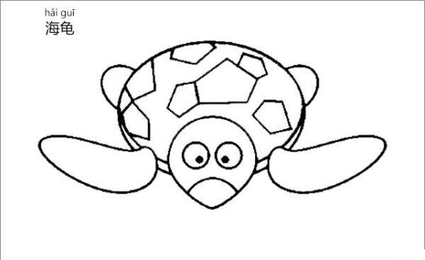 turtle simple drawing