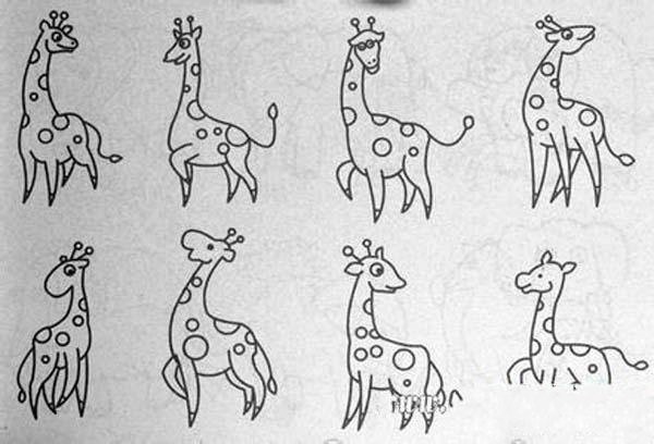 A complete collection of simple drawings of giraffes for children