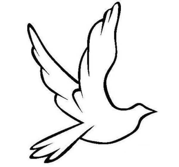 Simple drawing of peace dove flying to the right