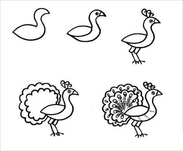 How to draw a peacock in simple strokes