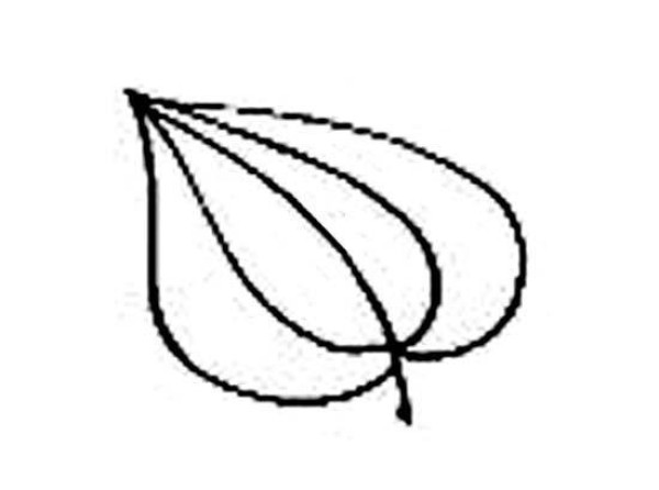 Childrens simple drawing pictures of leaves