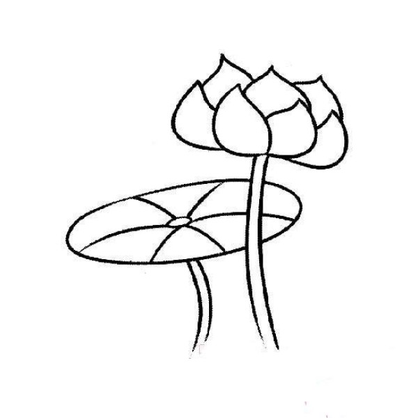 Childrens simple drawing: lotus leaves in the pond