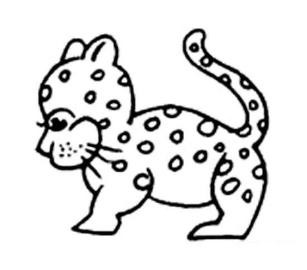 Childrens simple drawing pictures of cute little leopards