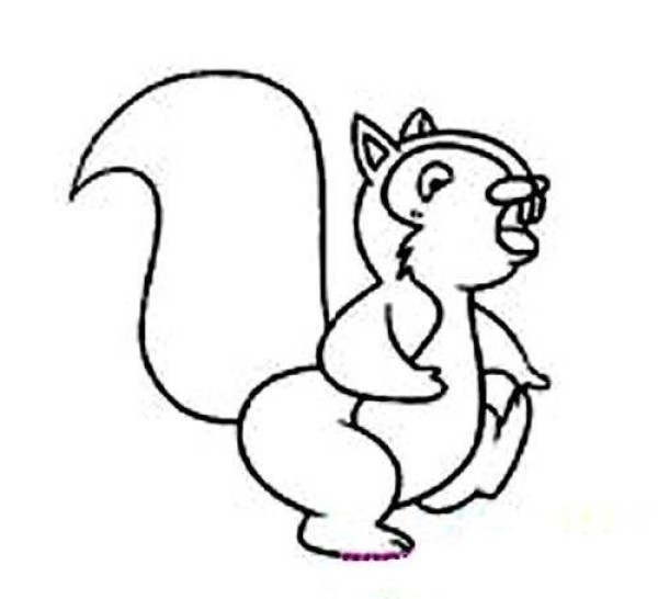 Childrens simple drawing collection: Squirrel