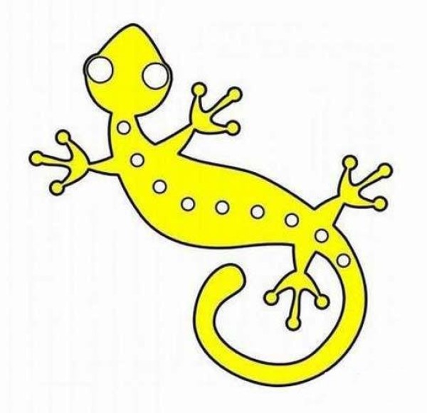 Childrens simple picture of colorful gecko