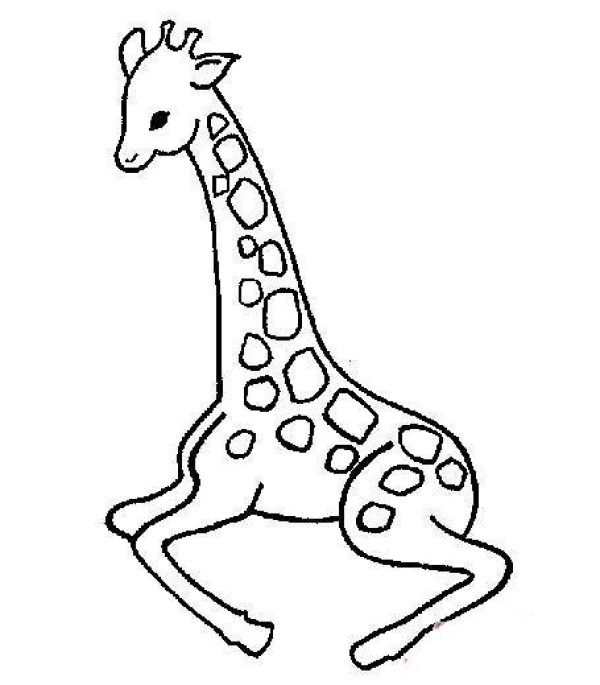 Simple drawing of little giraffe squatting on the ground